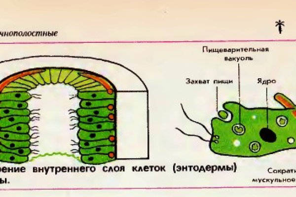 Ссылка на кракен маркет