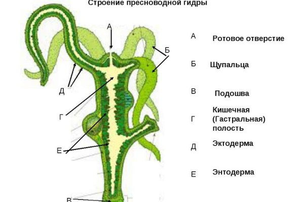 Кракен 2kr pro