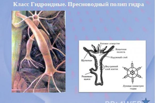Kraken cc ссылка