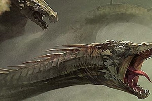 Kraken 23at